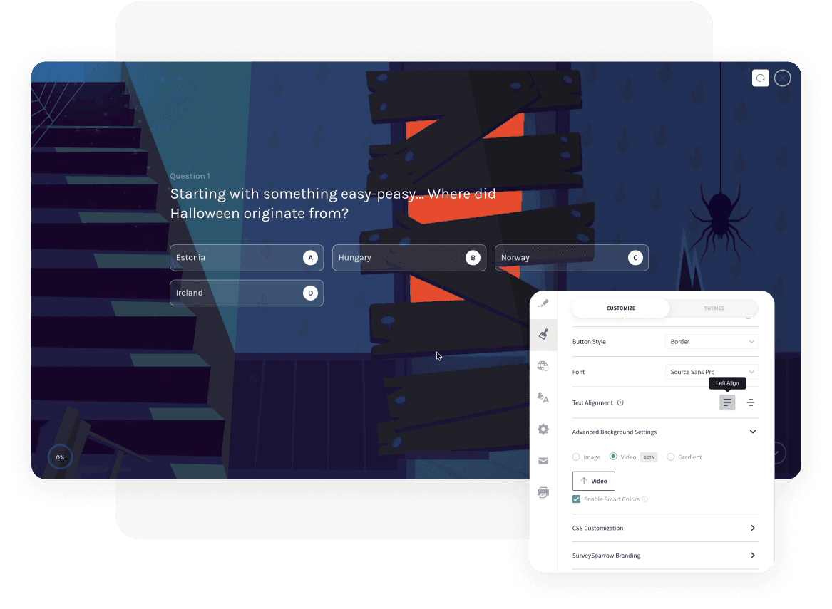 Video surveys Video surveys